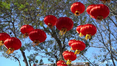 Traditional-chinese-red-lantern-display